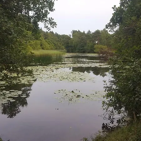 منتزه العطل Na Zytniej