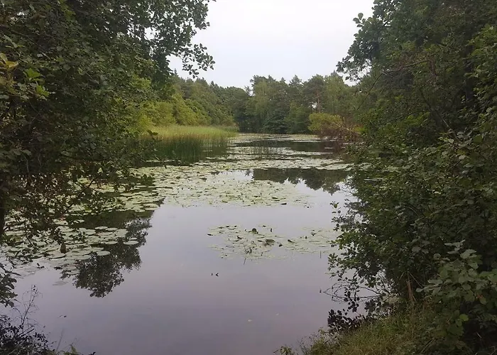 База отдыха Na Zytniej